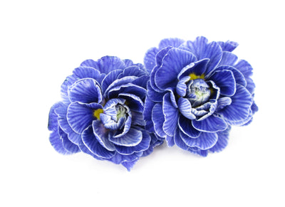 Two Blues