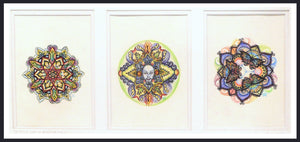Sitting Zen in Seattle (Triptych)