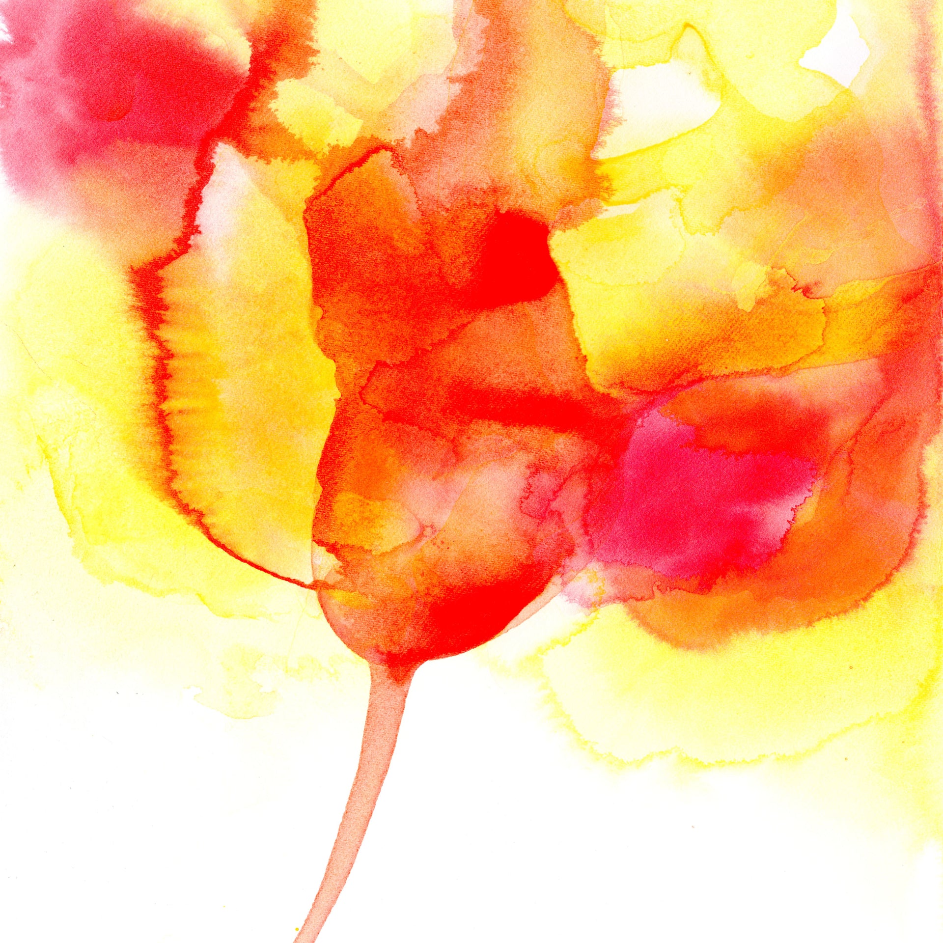 New Artwork