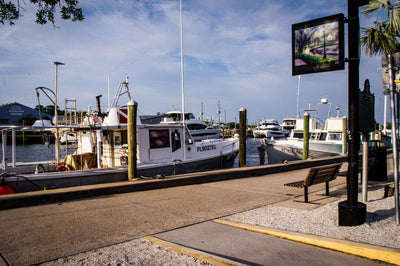 At The Docks