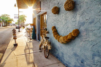 Sponge Bike
