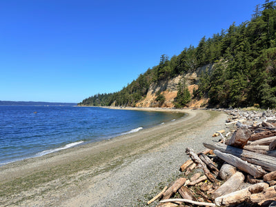 Forested Coastline