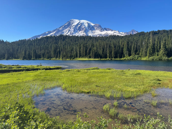 Reflection Lake and Mount Rainier