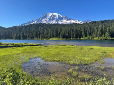 Reflection Lake and Mount Rainier