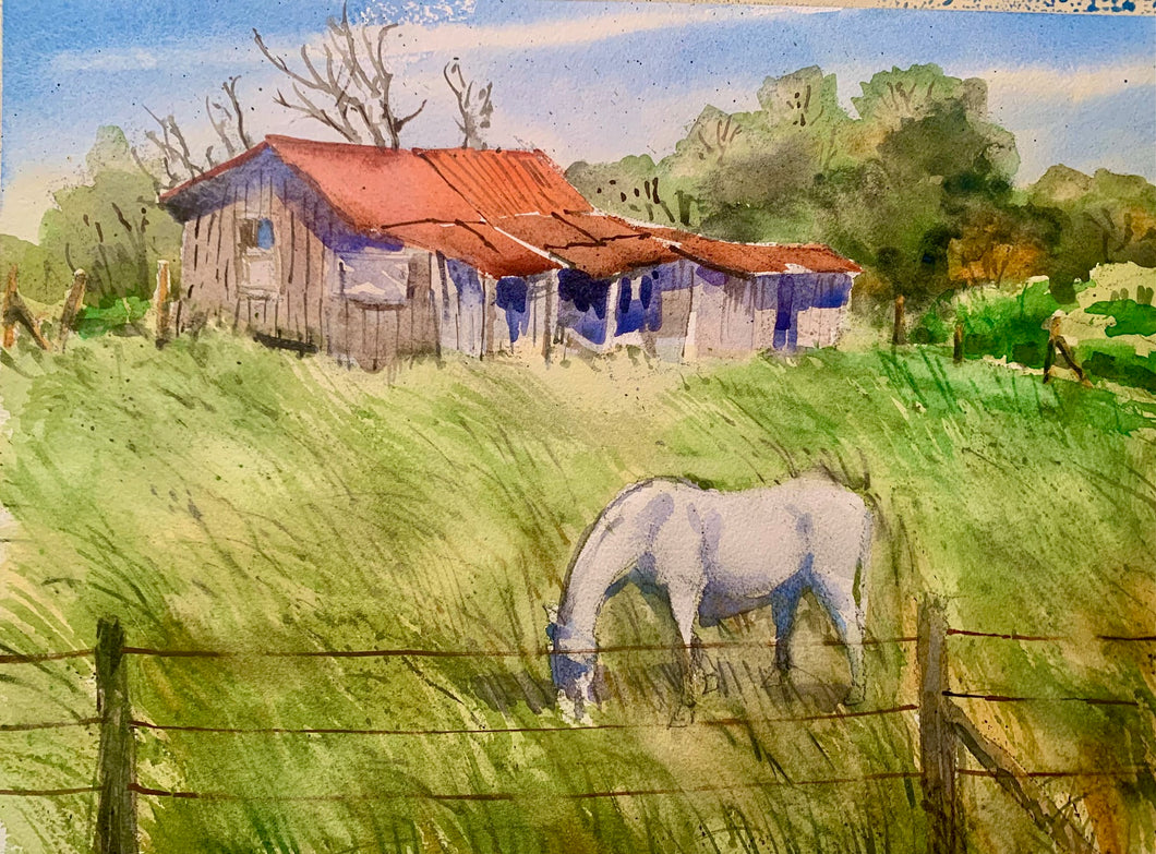 Makawao Ranch