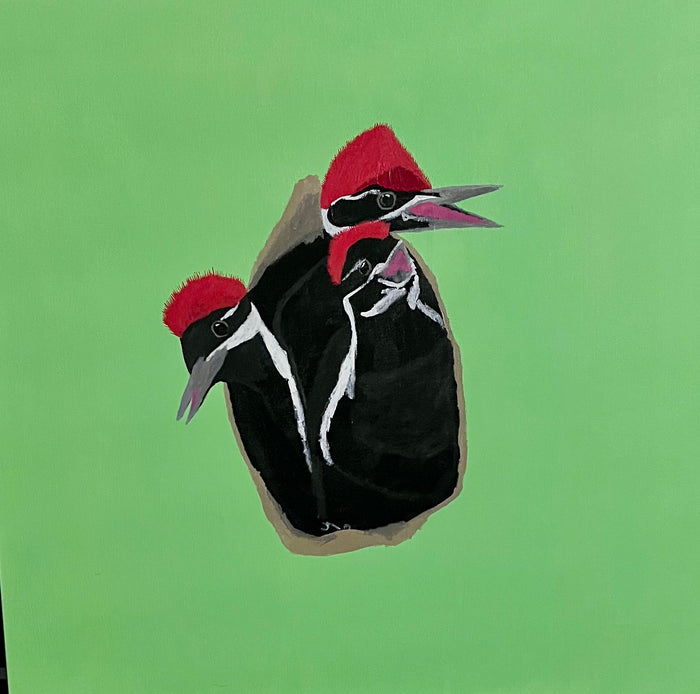 Pileated Woodpeckers