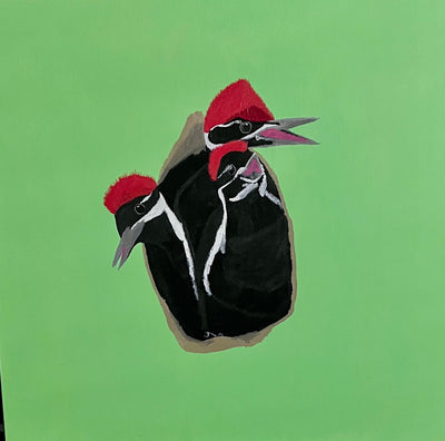 Pileated Woodpeckers