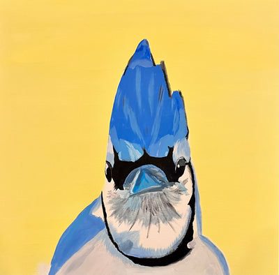 Blue Jay
