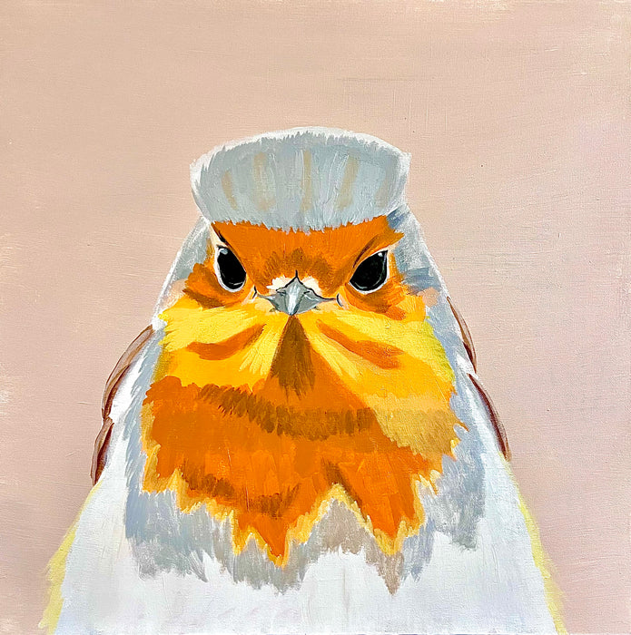 European Robin