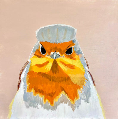 European Robin