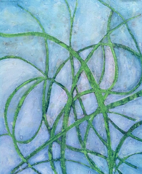 Seaweed