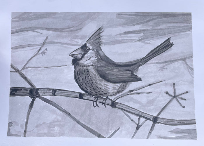 Cardinal