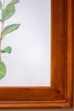 Load image into Gallery viewer, Spring Leaves II
