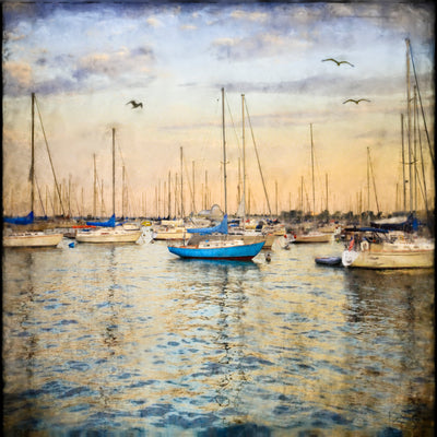 Monroe Harbor