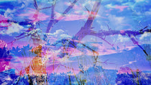 Load image into Gallery viewer, Another Place: I'll give you all the clouds if you'll share them with me
