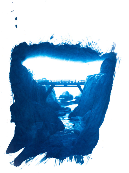 Tsushima Cyanotype No. 107