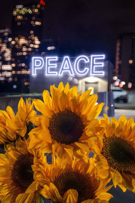Peace