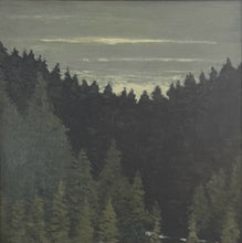Load image into Gallery viewer, Gallatin River Canyon 2
