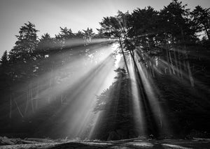 Rays of Shi Shi