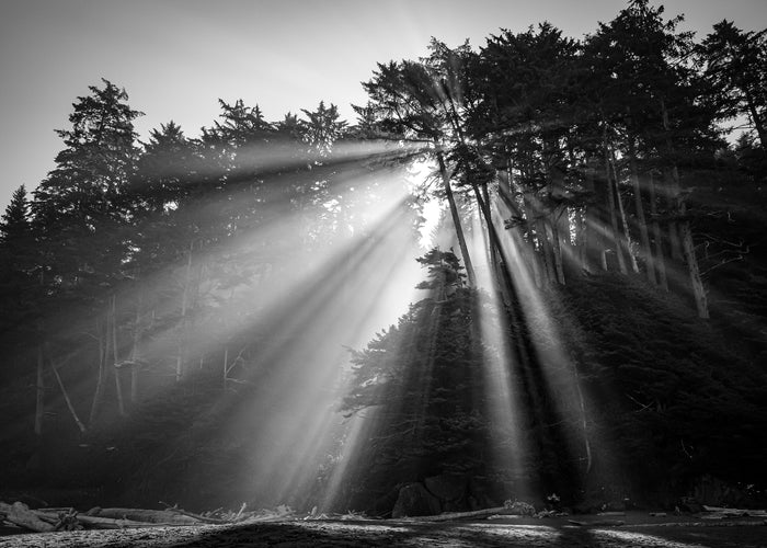 Rays of Shi Shi