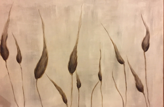 Grasses study