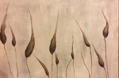 Grasses study