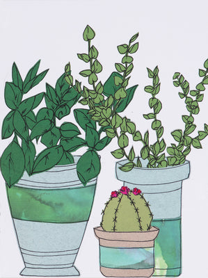 Cactus Party