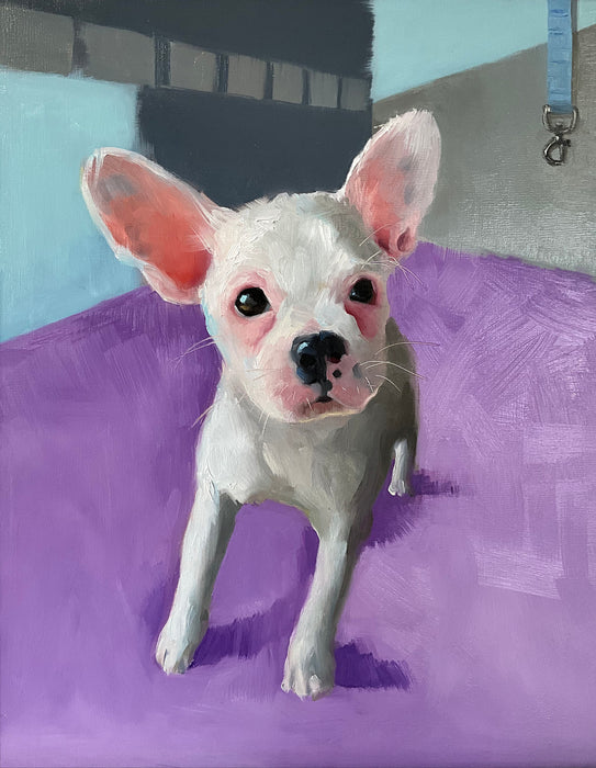 Darcy