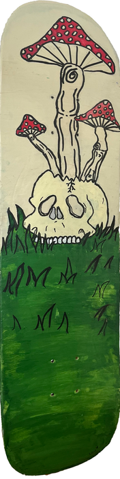 Skull and fungi