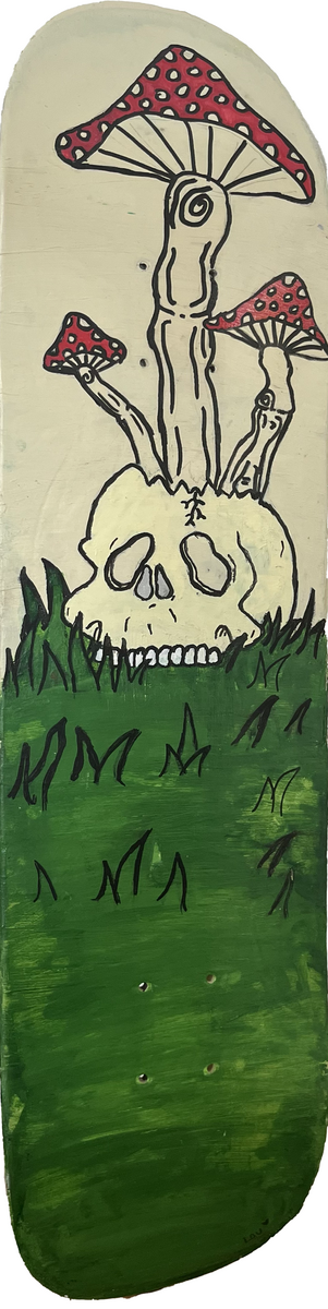 Skull and fungi