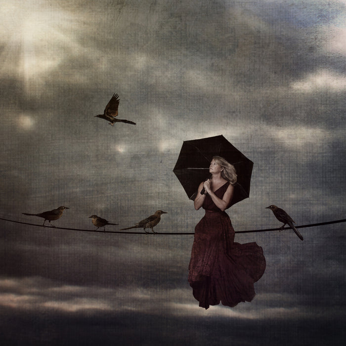 Bird on a Wire