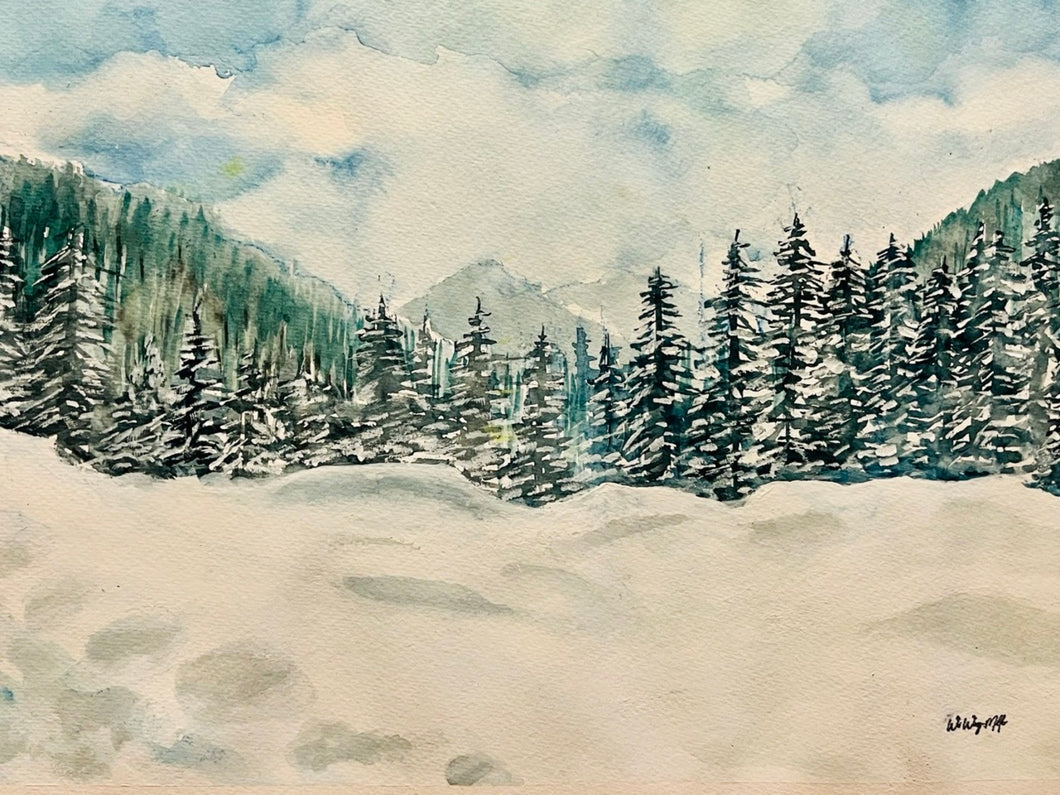 Alpine Snow