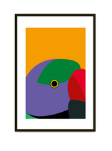 Load image into Gallery viewer, Slaty headed parakeet
