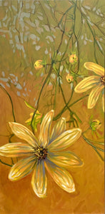 Tangled up in the shadows-tickweed (Coreopsis tinctoria)