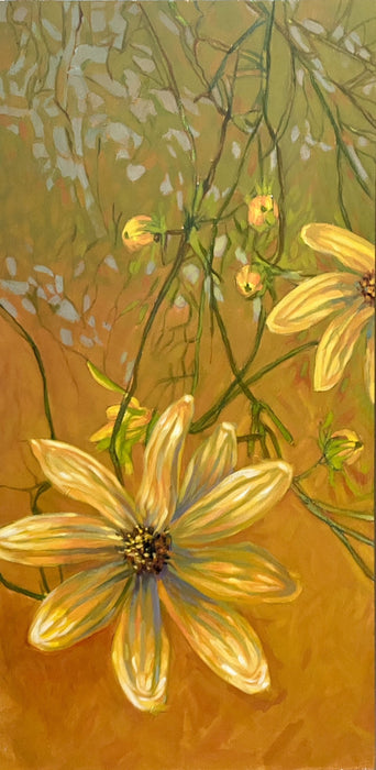 Tangled up in the shadows-tickweed (Coreopsis tinctoria)