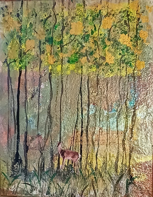 Forest and the deer