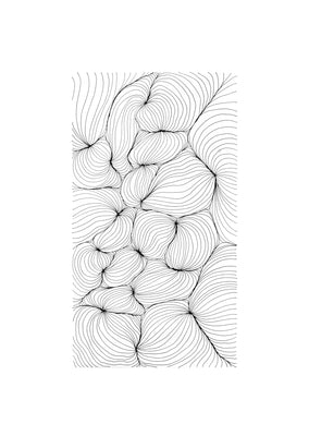 Fibre (4)