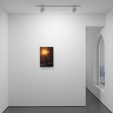 Load image into Gallery viewer, Helo

