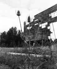 Load image into Gallery viewer, Valley 6 Drive-In: Thorns &amp; Thistles
