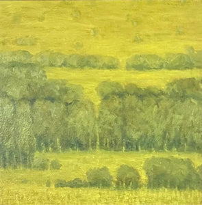 "Paradise Valley Summer"