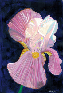 Iris lll
