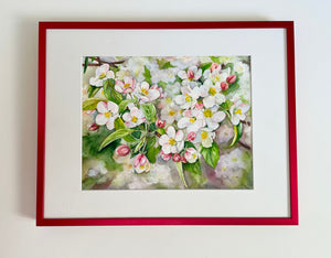 Apple Blossom