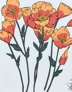 California Poppies