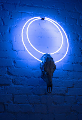 Circle