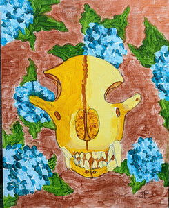 Bear Skull and Blue Hydrangea