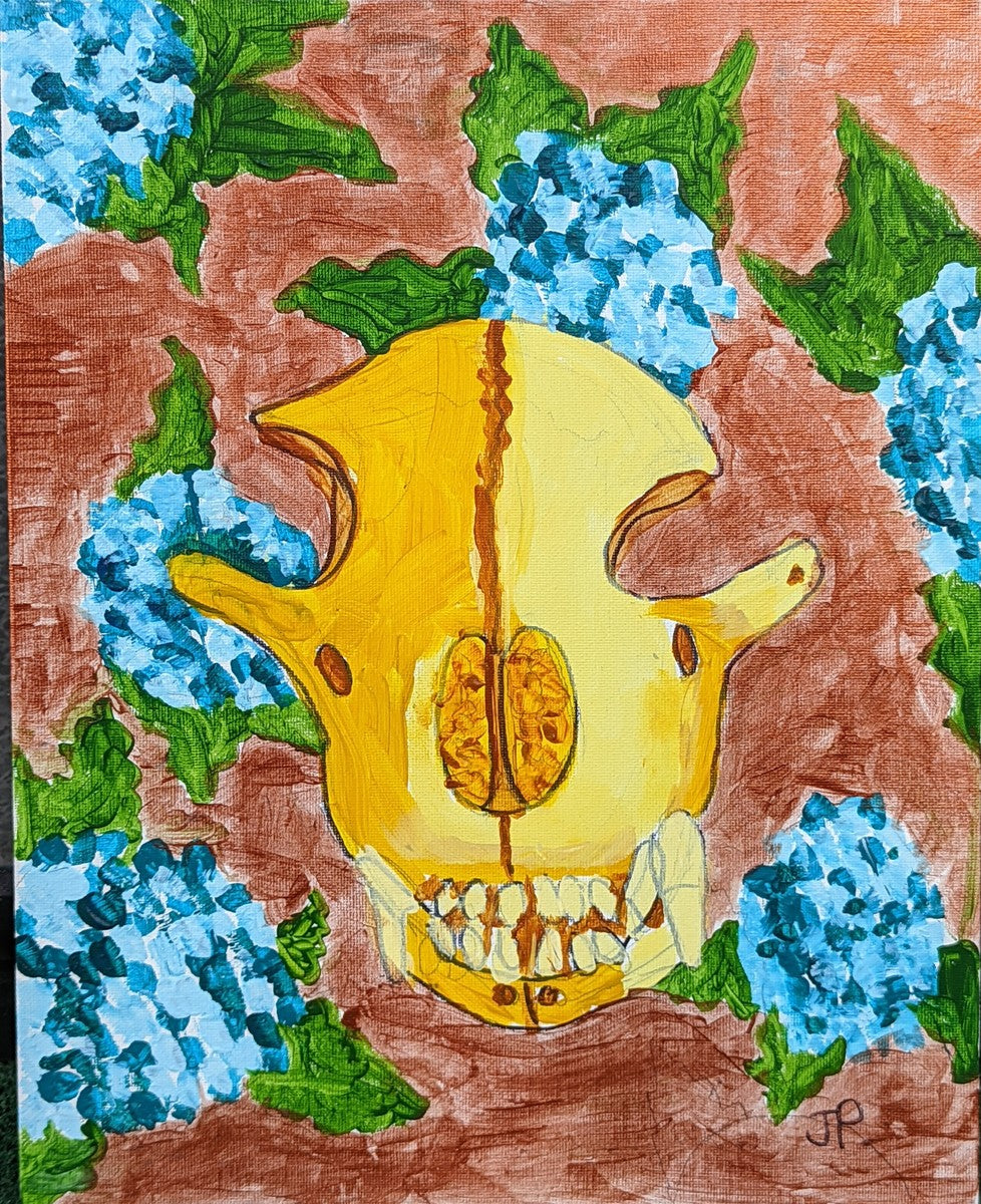 Bear Skull and Blue Hydrangea
