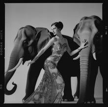 Load image into Gallery viewer, &quot;Dovima with Elephants&quot;
