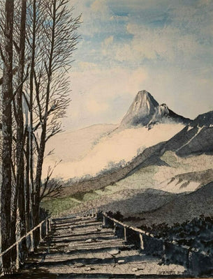 Abandoned Road