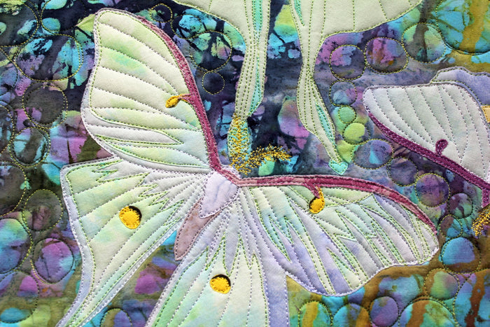 Luna Moth