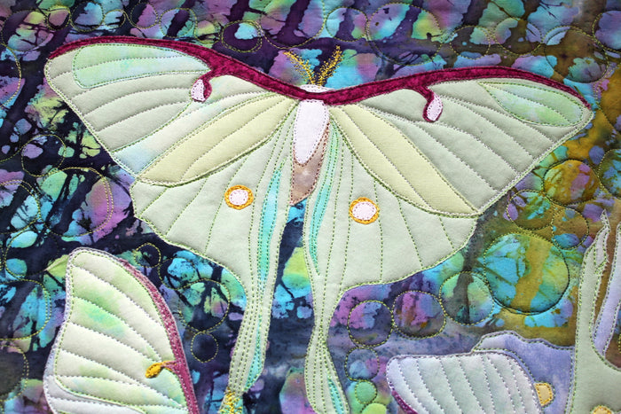 Luna Moth